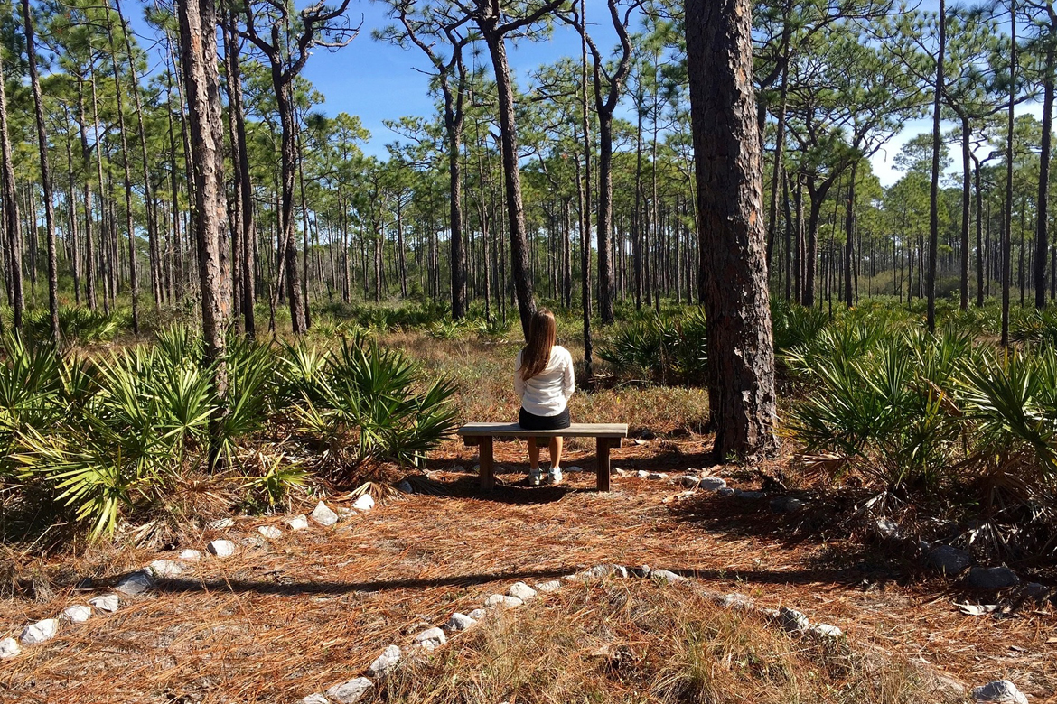 TADAH_Lynn_Goldberg_OMG_I_Can_Meditate