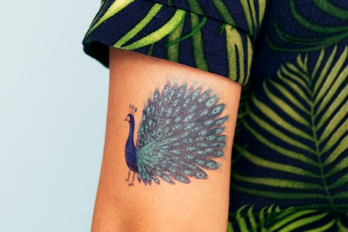 Tadah_Beitragsbild_Tattly_2